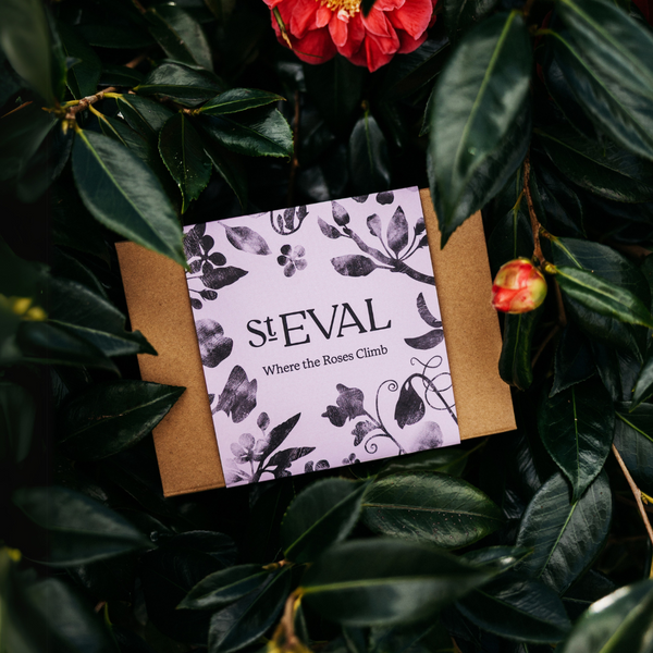 St. Eval Candle Company Where The Roses Climb