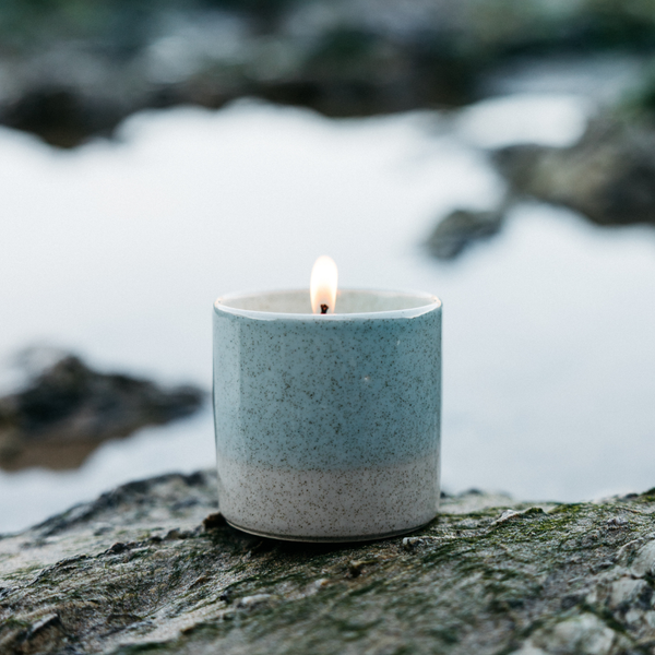 St. Eval Candle Company Wild Gorse
