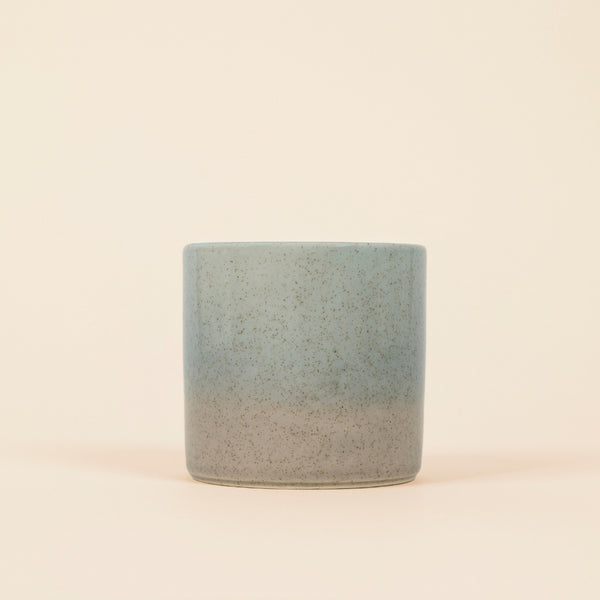 St. Eval Candle Company Wild Gorse