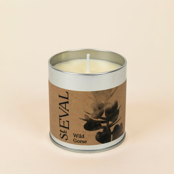St. Eval Candle Company Wild Gorse
