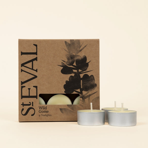 st. eval candle company Wild Gorse