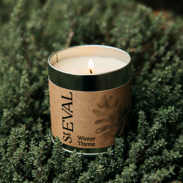 St. Eval Candle Company Winter Thyme