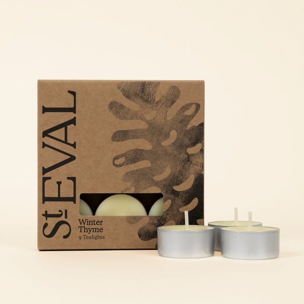 st. eval candle company Winter Thyme