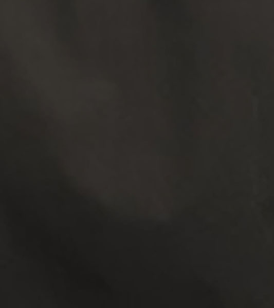 Stacy Adams Carson Dress Shirt Point Collar Dress Shirts