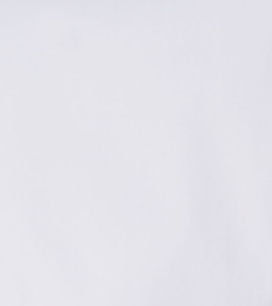 Stacy Adams Westcott Dress Shirt Spread Collar Dress Shirts