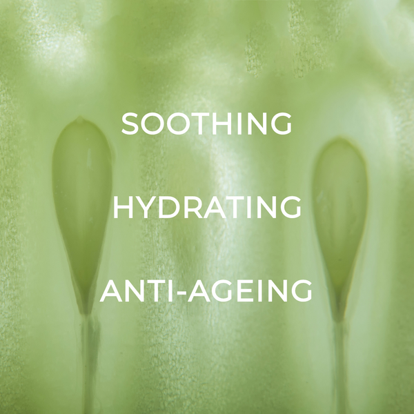 Standard Cucumber & Aloe Toner With Niacinamide