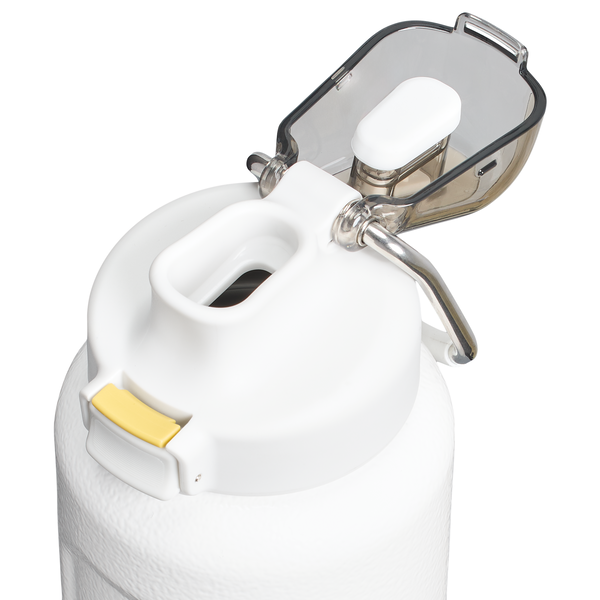 Stanley The Wellspring Bottle | 32 OZ