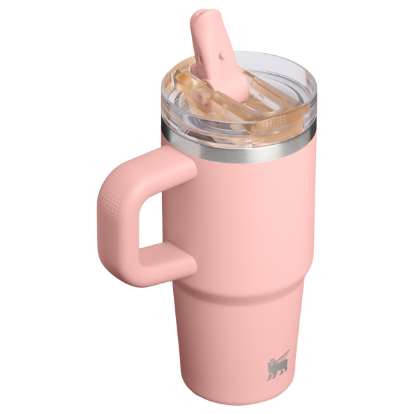 stanley The Quencher ProTour Flip Straw Tumbler | 14 OZ