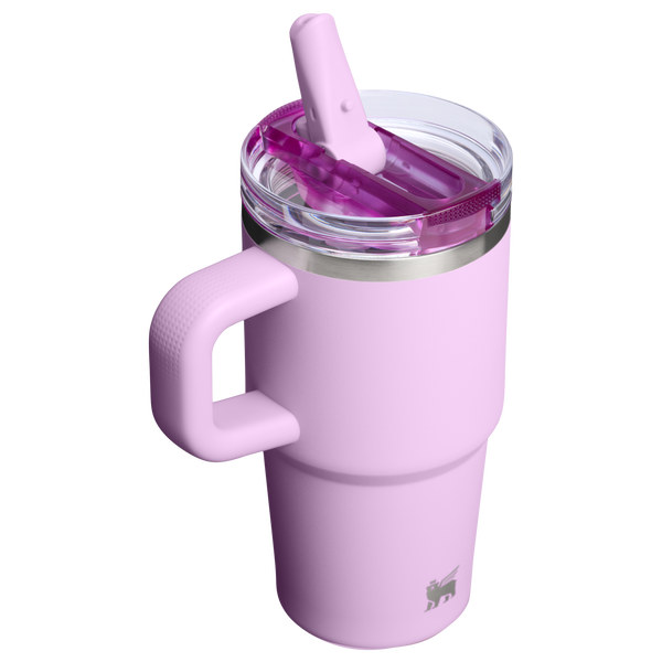 stanley The Quencher ProTour Flip Straw Tumbler | 20 OZ