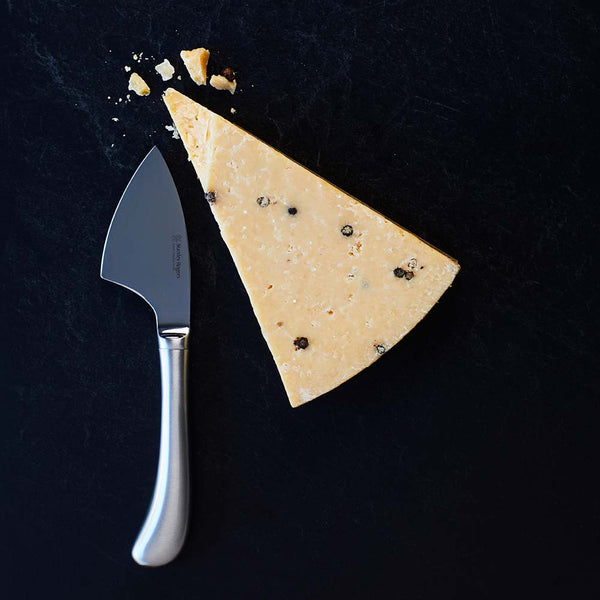 Stanley Rogers Pistol Grip Stainless Steel Hard Cheese Knife