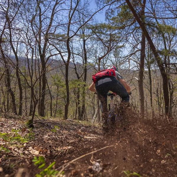 Stan's Notubes Flow EX3 Decals