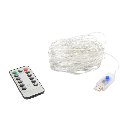 Stansport 30' LED Outdoor String Lights With Remote