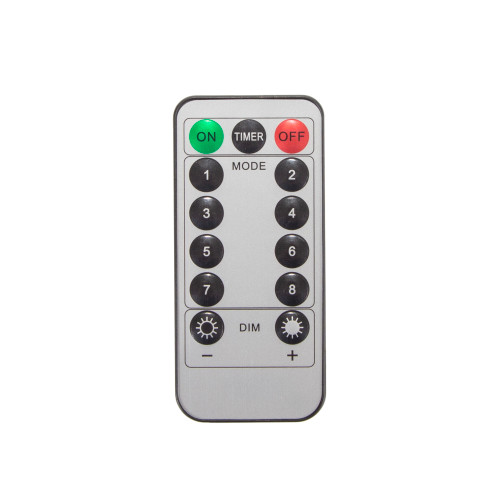 Stansport 30' LED Outdoor String Lights With Remote