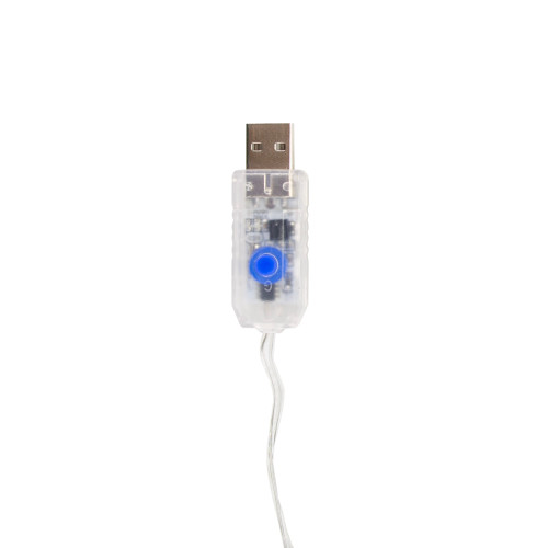 Stansport 30' LED Outdoor String Lights With Remote