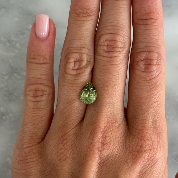 Starling BESPOKE 2.62CT ANZA GROSSULAR GARNET