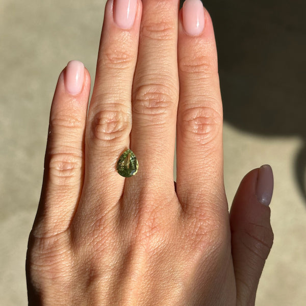 Starling BESPOKE 2.62CT ANZA GROSSULAR GARNET