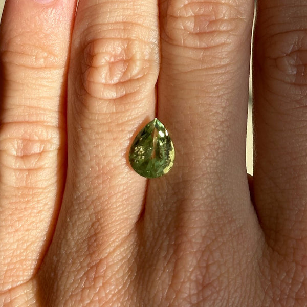 Starling BESPOKE 2.62CT ANZA GROSSULAR GARNET