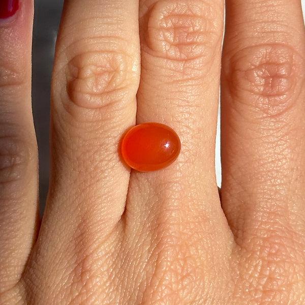 Starling BESPOKE 3.86CT CARNELIAN CABOCHON