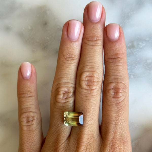 Starling BESPOKE 6.02CT WATERMELON TOURMALINE