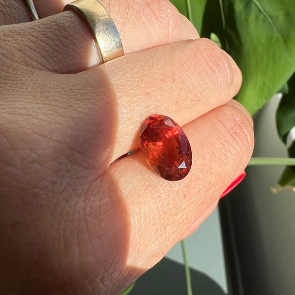 Starling BESPOKE 6.09CT ORANGE RED SAPPHIRE