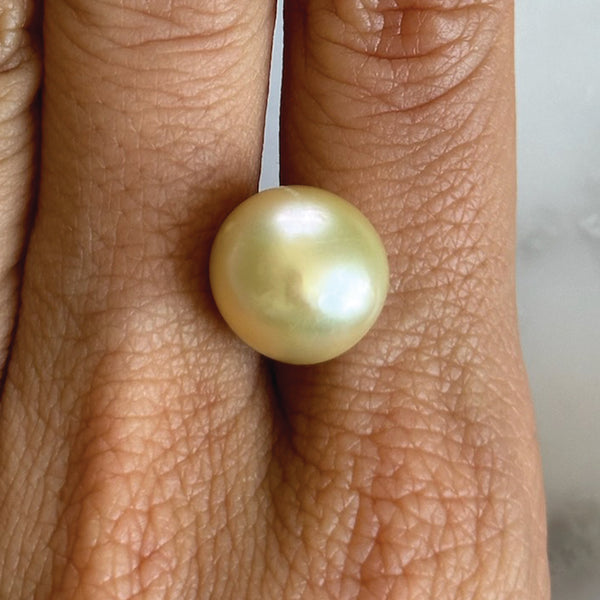 Starling BESPOKE CHAMPAGNE TAHITIAN PEARL