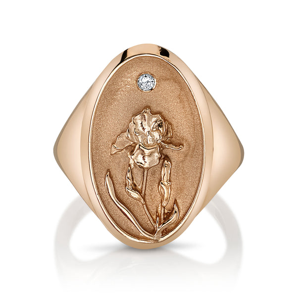 Starling FEBRUARY BIRTH FLOWER SIGNET RING