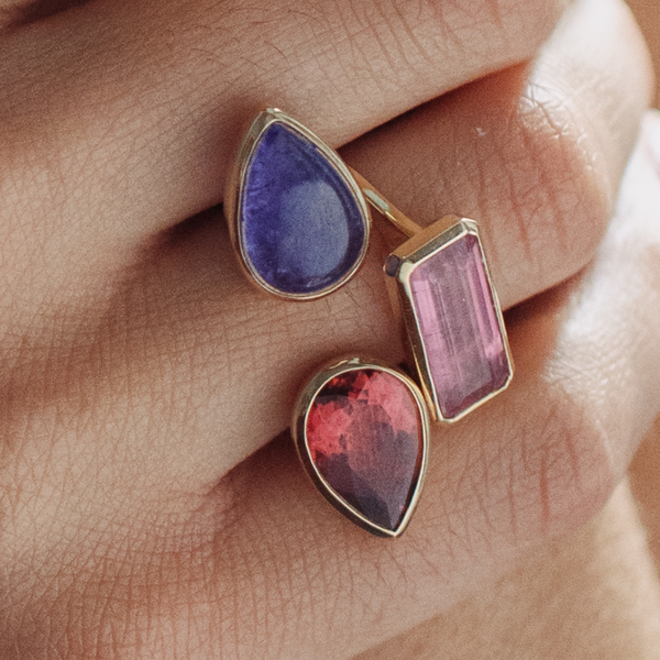 Starling Tourmaline & Tanzanite Deux Cœurs Ring