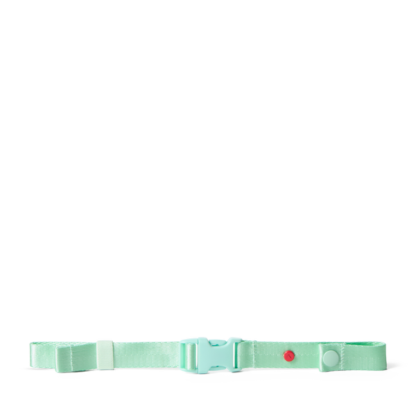 state bags Detachable Chest Strap Mint