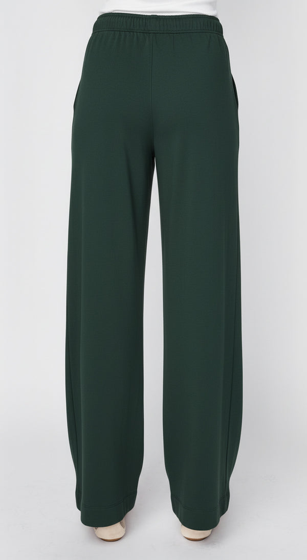 Stateside Softest Fleece Drawstring Pant In Everfall