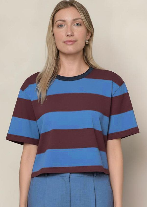 Stateside Wide Stripe Pique Short Sleeve Boxy Crew In Cabernet/Blue Topaz
