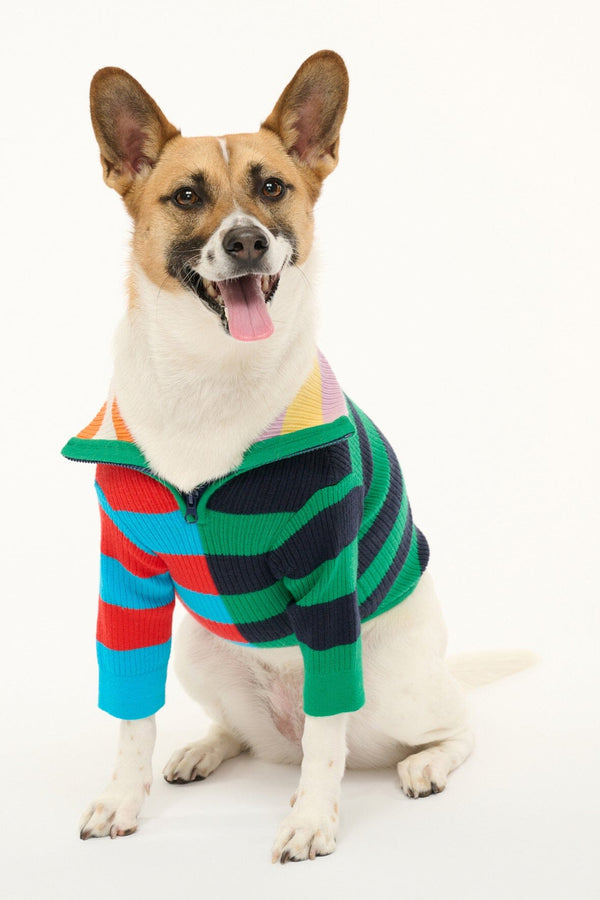 staud PET HAMPTON SWEATER CABANA STRIPE MULTI