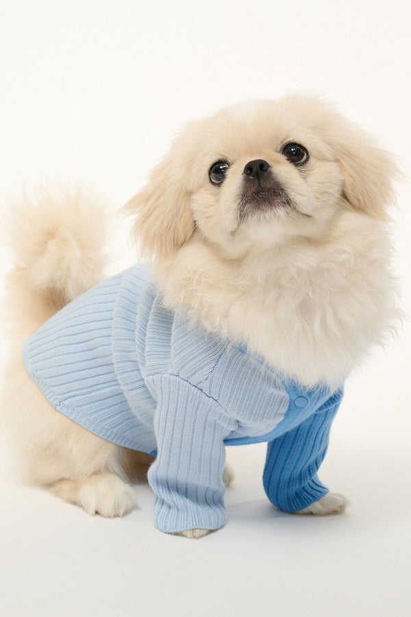 Staud PET SHOKO SWEATER PERIWINKLE MULTI