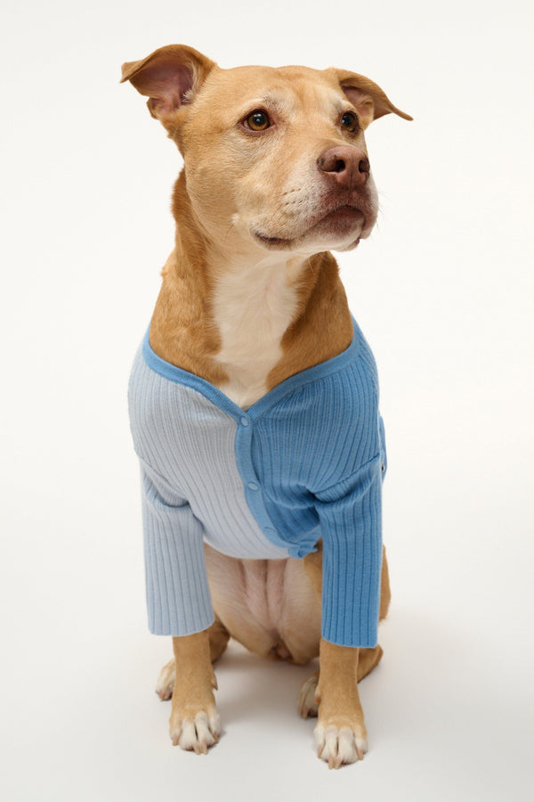 staud PET SHOKO SWEATER PERIWINKLE MULTI