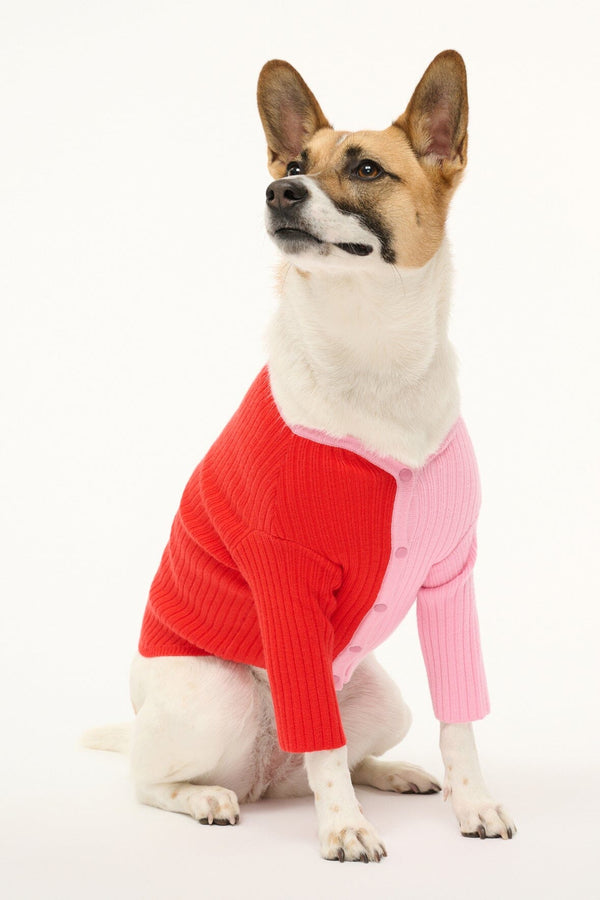 Staud PET SHOKO SWEATER POPPY ROSEBUD