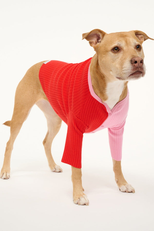 Staud PET SHOKO SWEATER POPPY ROSEBUD