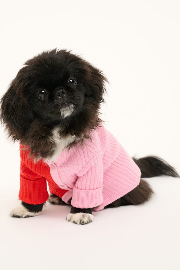 staud PET SHOKO SWEATER POPPY ROSEBUD