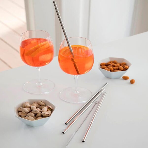 steel function 4 STRAIGHT S/S STRAWS+1 BRUSH