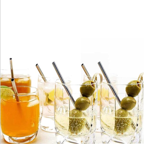 steel function 6 STRAIGHT S/S STRAWS+1 BRUSH