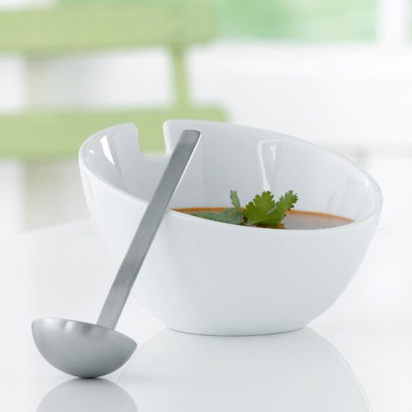 steel function DRESSING BOWL PORCELAIN W/SPON