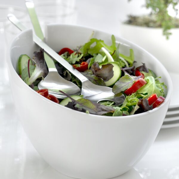 steel function SALAD BOWL W/SERVER