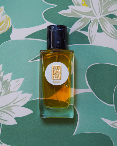 Stele January Scent Project Dinudisit Eau De Parfum