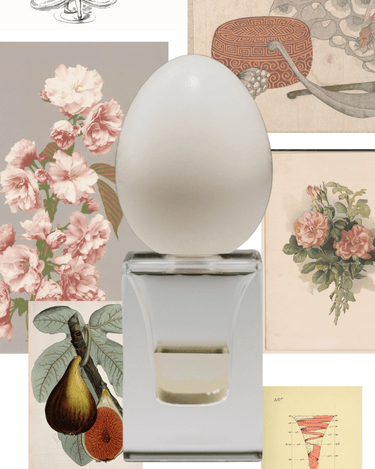 Stele Perfume Who Meshes Of The Afternoon Eau De Parfum