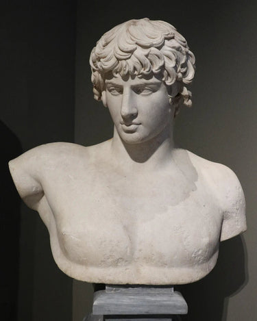 Stele Anti Antinoüs Eau De Parfum