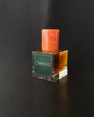 stele Aton Carnalis Elixir de Parfum