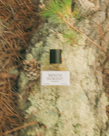 Stele Atwood Beech Forest Eau De Parfum