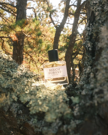 stele Atwood Beech Forest Eau De Parfum