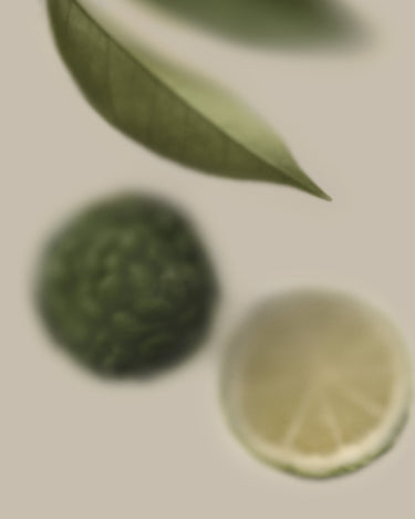 Stele Belnu Bergamot Brio Eau De Parfum