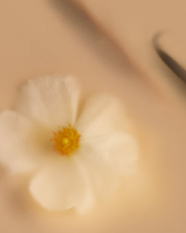 Stele Belnu Chai Fleur Eau De Parfum