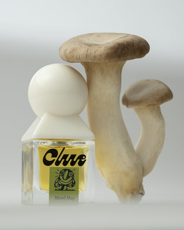 Stele Clue Morel Map Eau De Parfum