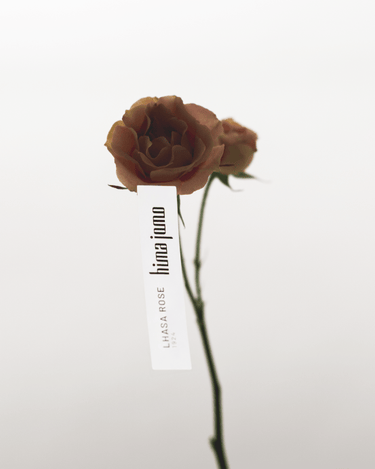 Stele Hima Jomo Lhasa Rose 1924 Eau De Parfum